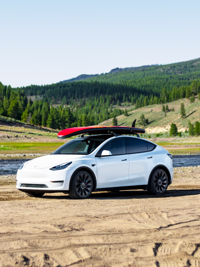 everything you need to know about Tesla Model Y